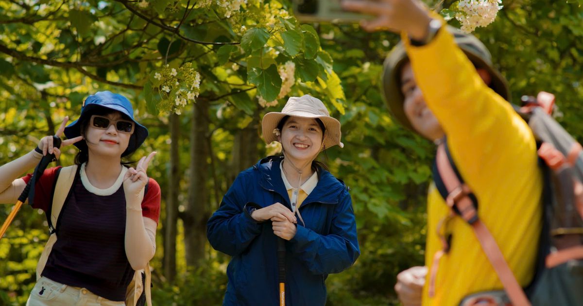 Vẻ đẹp dịu dàng mùa hoa trẩu giữa núi rừng Trường Sơn phía Tây tỉnh Quảng Trị