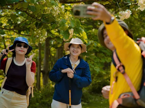 Tỉnh Quảng Trị tham gia Hội nghị Vùng Việt Nam năm 2026 do tổ chức xúc tiến du lịch các thành phố toàn cầu (TPO) tổ chức tại tỉnh Tây Ninh