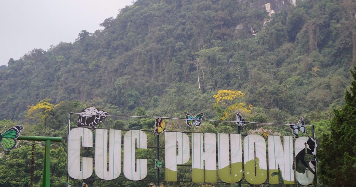 Lạc vào mùa bướm ở Vườn Quốc gia Cúc Phương