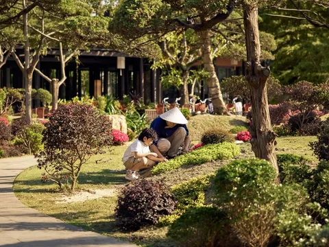 Du lịch hè 2026: Doanh nghiệp lữ hành chạy đua thích ứng biến động