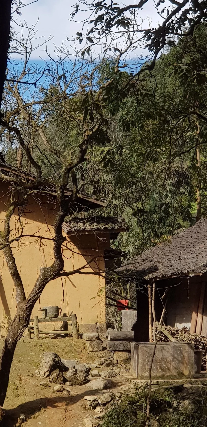 20190104-111944-original-1651-1778040078.webp
