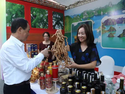 Sun Group khai trương tổ hợp giải trí ẩm thực đêm VUI-Fest Ha Long