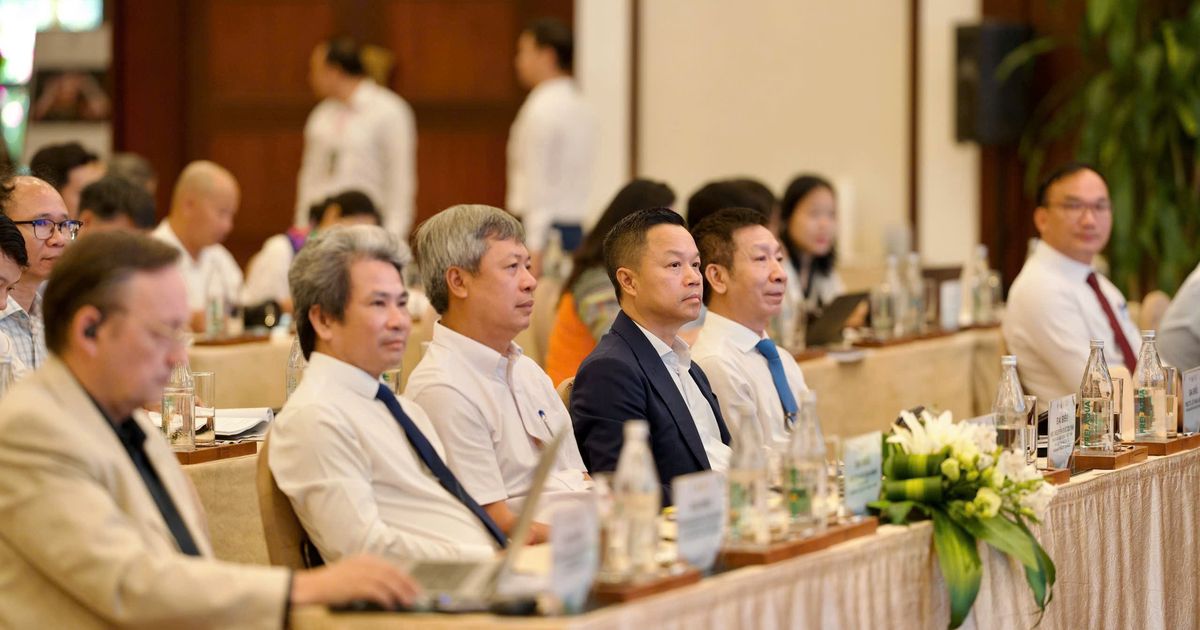 Hành trình Quế Trà My: Từ sản vật đại ngàn đến khát vọng phát triển bền vững