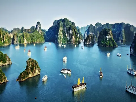 Trung tu Ga Đà Lạt: Đánh Thức “Huyền Thoại Kiến Trúc” Giữa Lòng Cao Nguyên