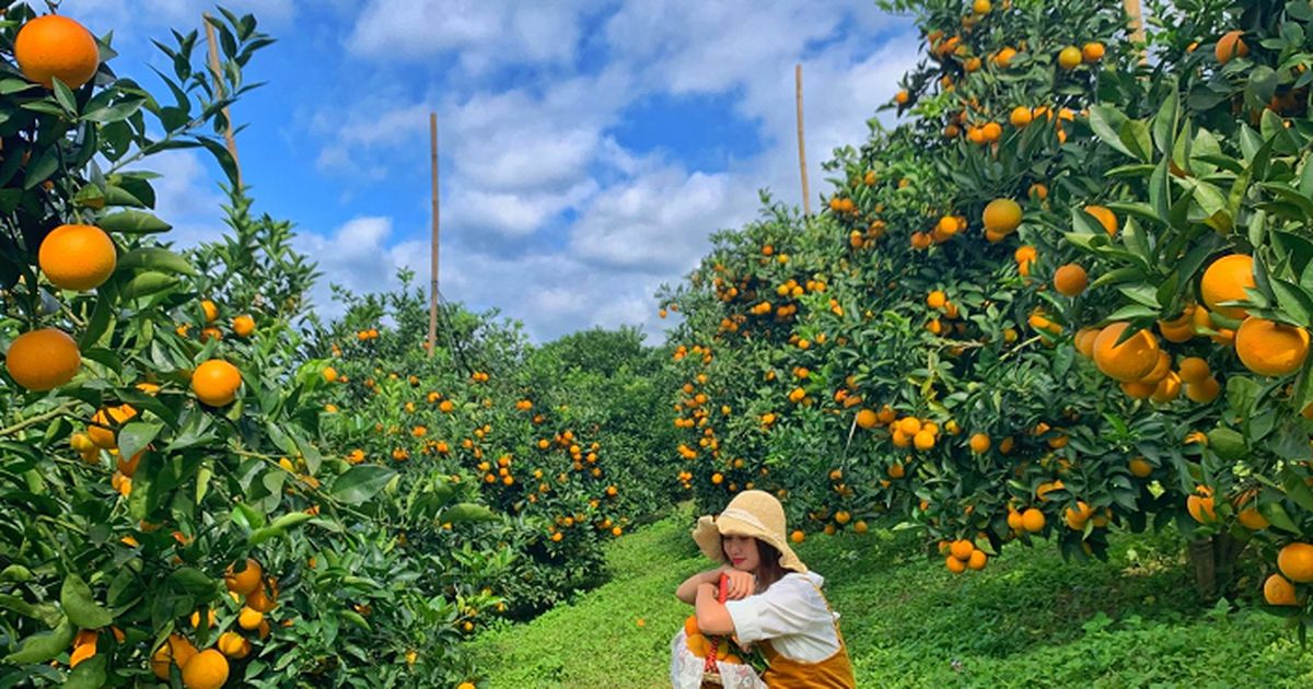 Từ một vụ việc về xuất xứ hàng hóa đến bài toán bảo vệ thương hiệu địa phương