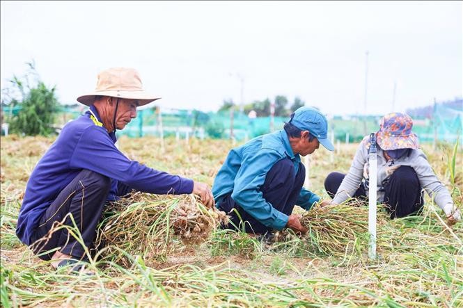 3-1785380242 3-1785380242.jpg