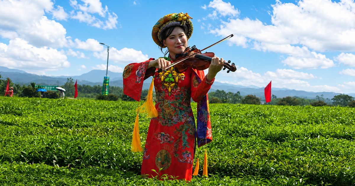 Đường Hoa: Đưa hương trà trở thành sản phẩm du lịch xanh