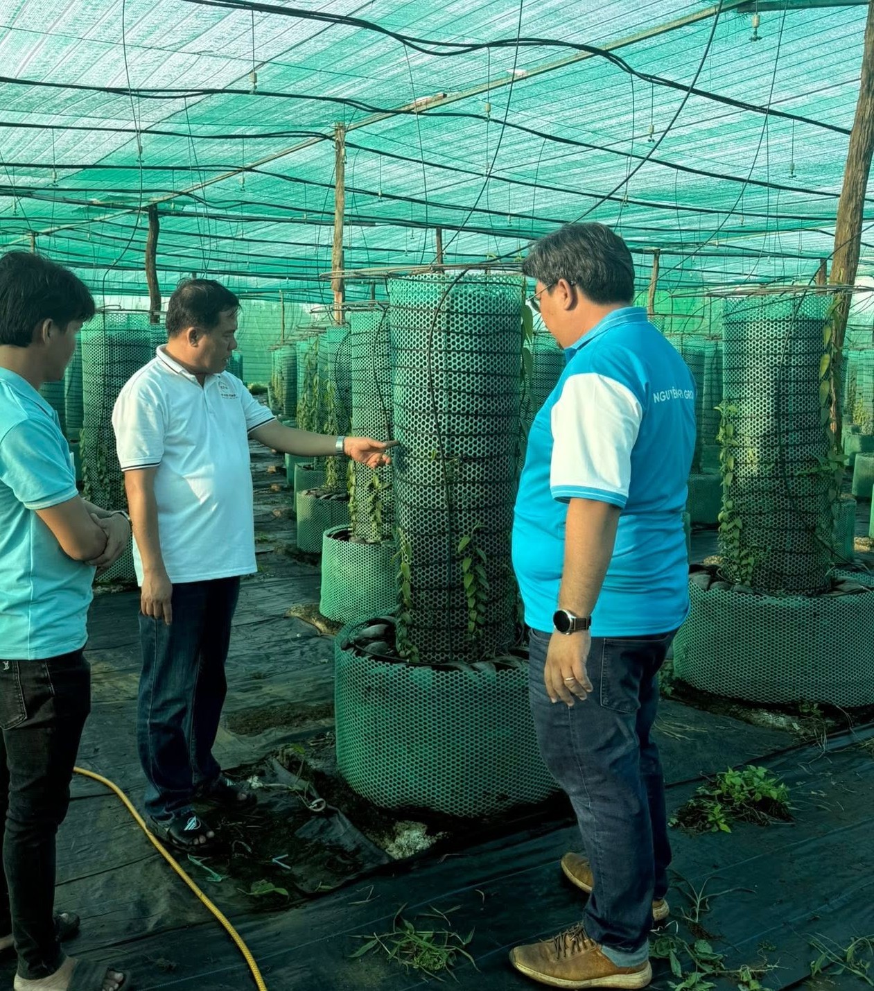 nong-nghiep-trong-nha-kinh-1786362338 nong-nghiep-trong-nha-kinh-1786362338.jpg