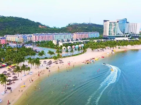 Du khách và cộng đồng mê thể thao háo hức chờ đón Lễ Khai mạc Sport Festival 2026