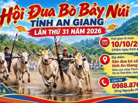 Lễ hội Mùa vàng Hồng Thái 2026: Lên núi săn mây, ngắm ruộng bậc thang và chạm vào sắc màu văn hóa Tuyên Quang