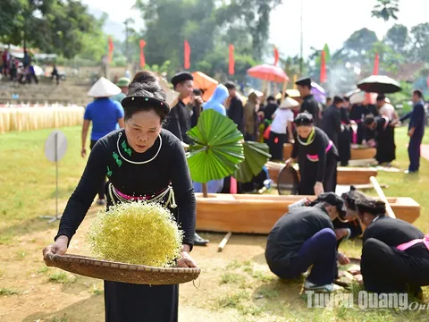 Festival Trà Quốc tế – Thái Nguyên 2026 mở rộng không gian kết nối cho ngành trà