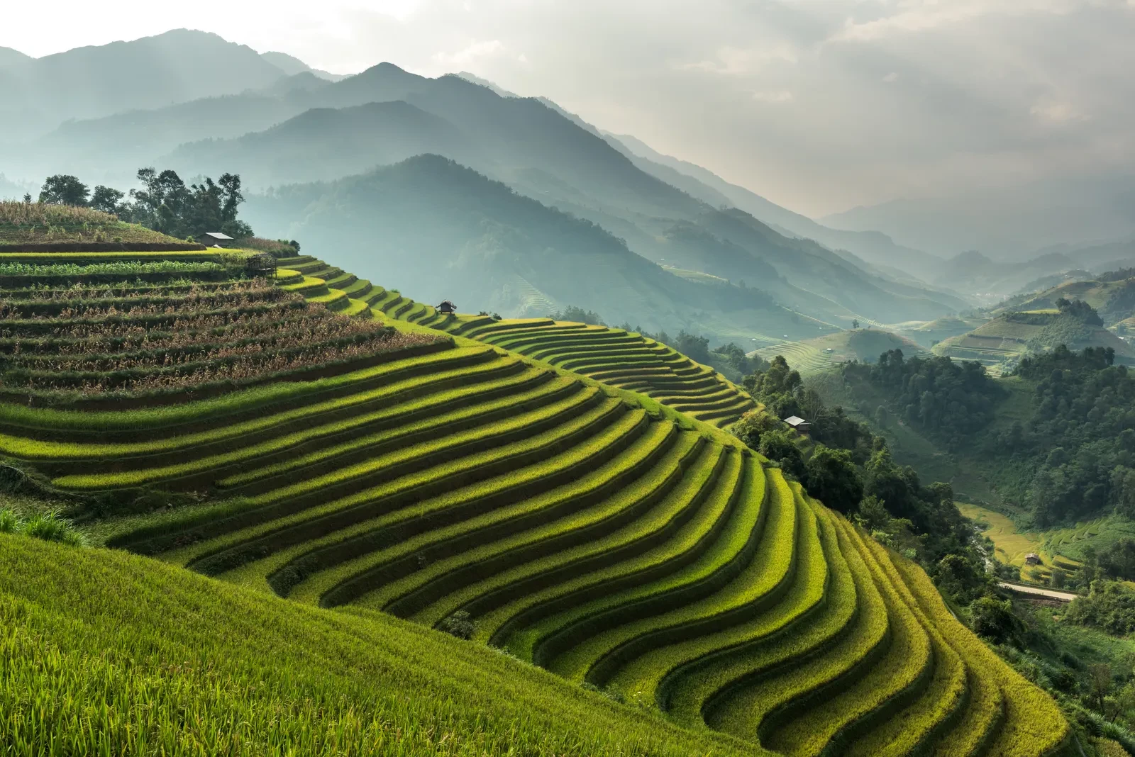 vietnam-27085-gettyimages-611609802-1792146193 vietnam-27085-gettyimages-611609802-1792146193.webp